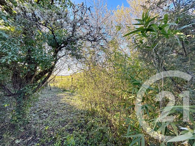 maison à vendre - 4 pièces - 75.0 m2 - MAINE DE BOIXE - 16 - POITOU-CHARENTES - Century 21 Aloha Immobilier