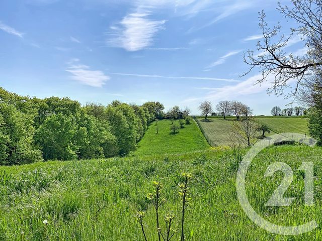 maison à louer - 7 pièces - 162.0 m2 - ST GENIS D HIERSAC - 16 - POITOU-CHARENTES - Century 21 Aloha Immobilier