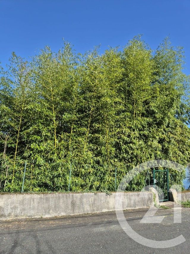 terrain à vendre - 146.0 m2 - MAGNAC SUR TOUVRE - 16 - POITOU-CHARENTES - Century 21 Aloha Immobilier