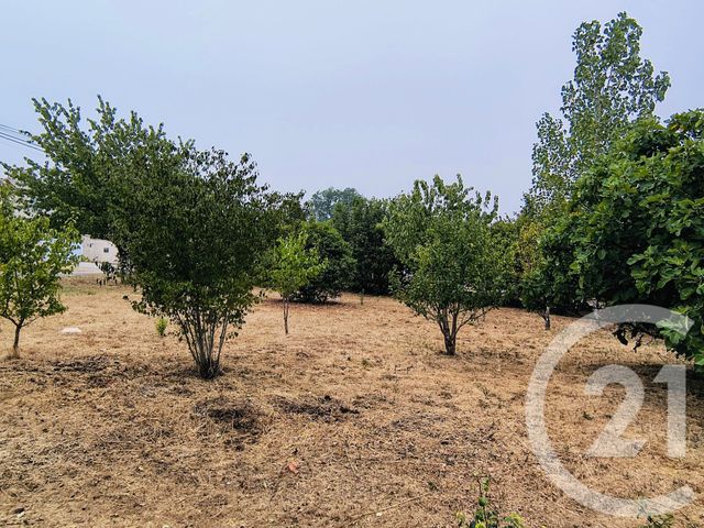 terrain à vendre - 643.0 m2 - DIRAC - 16 - POITOU-CHARENTES - Century 21 Aloha Immobilier